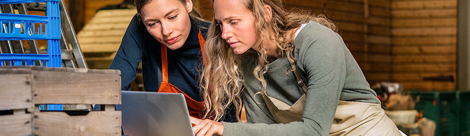 Online Banking Firmenkunden Volksbank Rottweil Eg